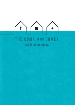 The Coma of the Comet